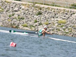Naro 2012